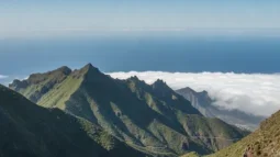 Parc Rural d'Anaga, Tenerife : Forêts de lauriers, points de vue et le meilleur itinéraire routier (2026)