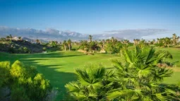 Le paradis du golf : Le bonheur du départ dans les meilleurs clubs de golf de Ténérife