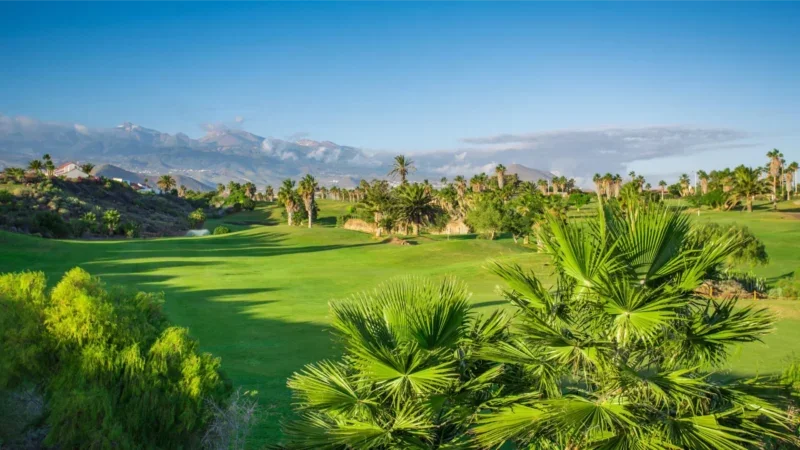 Le paradis du golf : Le bonheur du départ dans les meilleurs clubs de golf de Ténérife