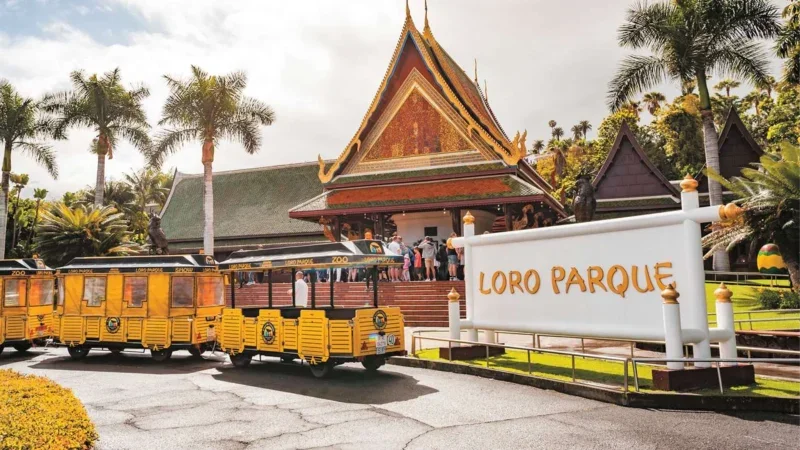 Loro Parque Tenerife – Découvrez le cœur de la merveille naturelle de l’île