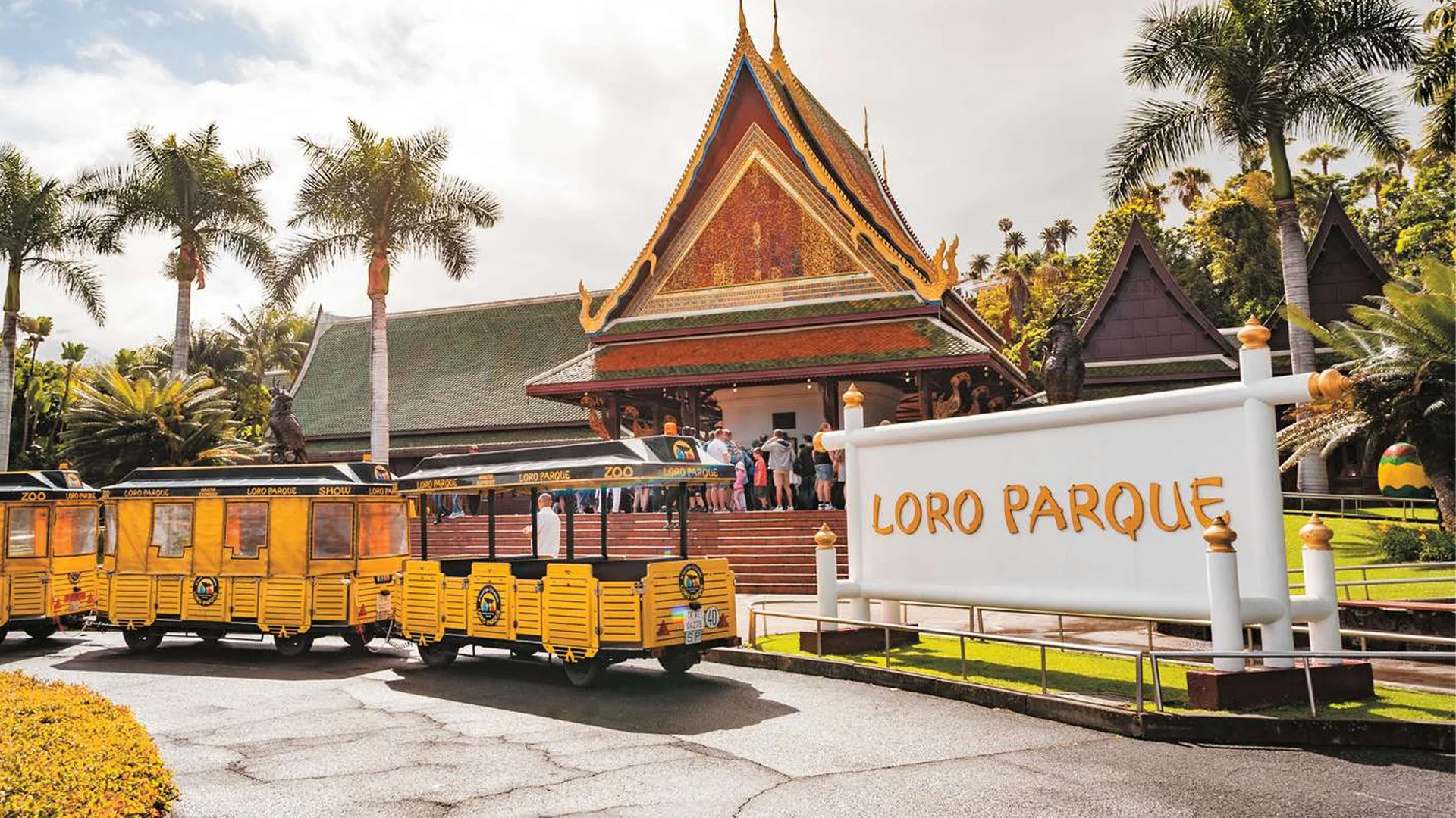 Loro Parque Tenerife – Découvrez le cœur de la merveille naturelle de l’île