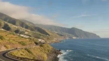 Loro Parque, Tenerife : Billets, points forts et comment s'y rendre en voiture (2026)