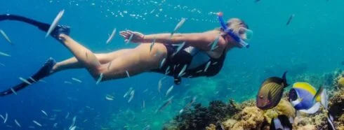 Nager avec le courant : Une plongée en profondeur dans les sites de snorkeling de Tenerife