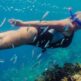 Nager avec le courant : Une plongée en profondeur dans les sites de snorkeling de Tenerife
