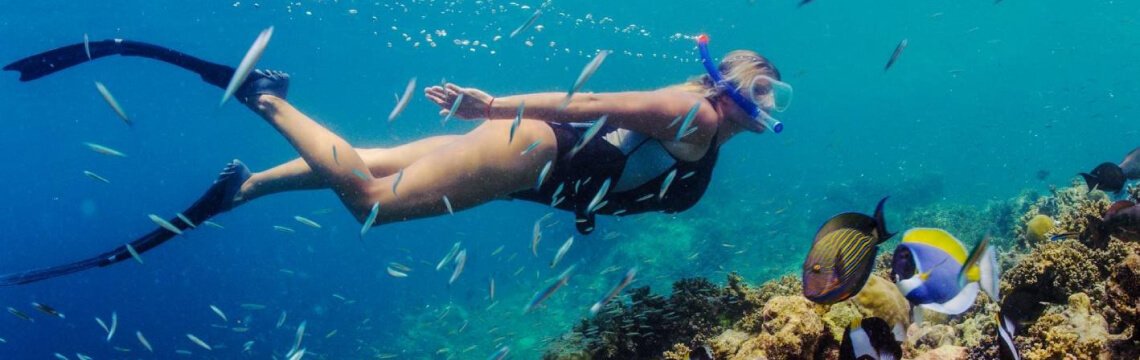 Nager avec le courant : Une plongée en profondeur dans les sites de snorkeling de Tenerife