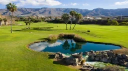 Tenerife Golf Courses : Un guide pour les passionnés de golf